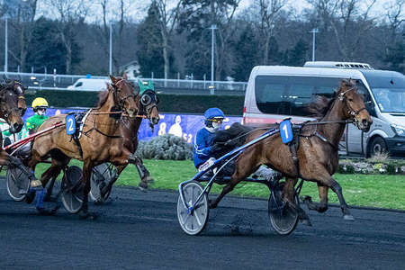 Actualités Hippiques